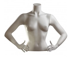 Female Torso Sleeves